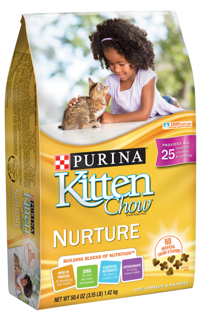 Purina Kitten Chow Dry Cat Food