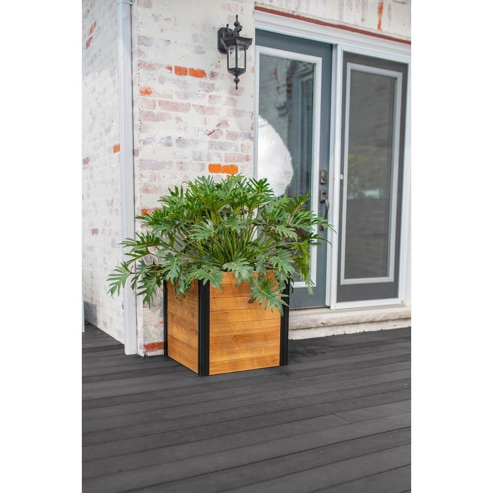 VITA Mezza 22 in. Cedar Wood Cube Planter VT17711