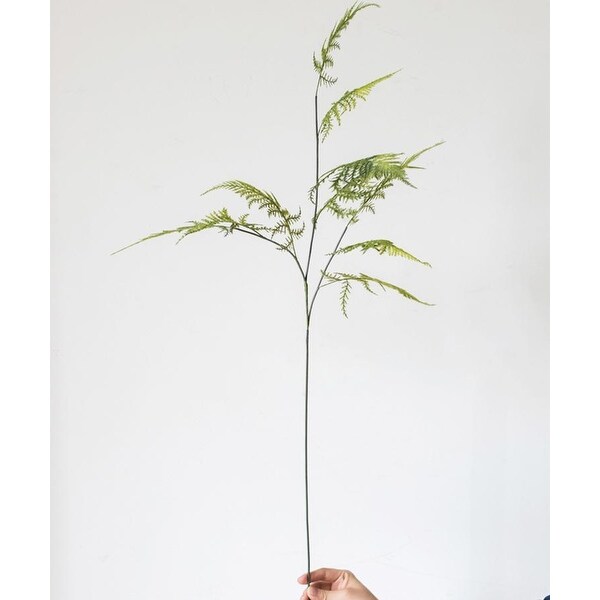 RusticReach Asparagus Fern Plant Stem 32 Tall