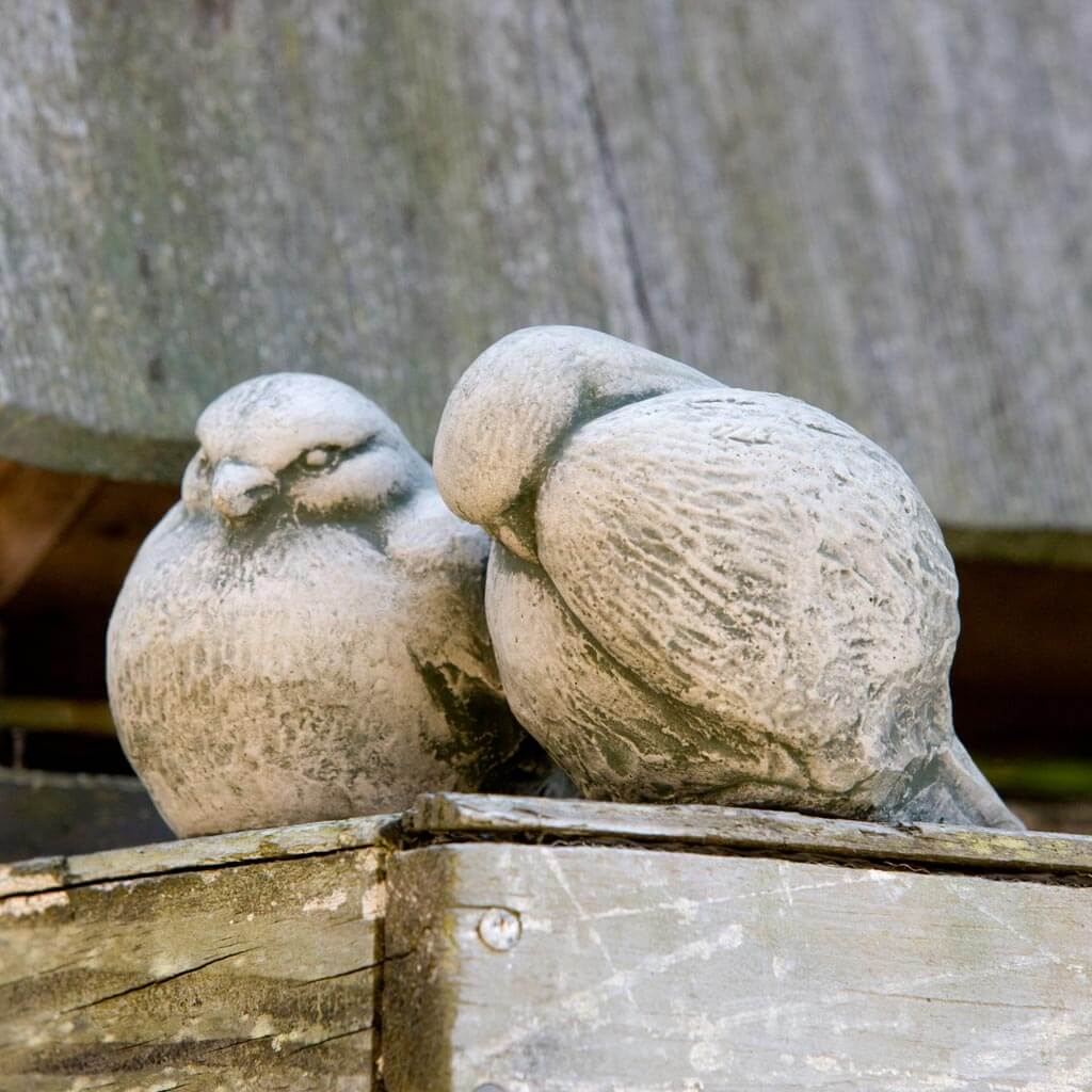 Campania International Duet Birds