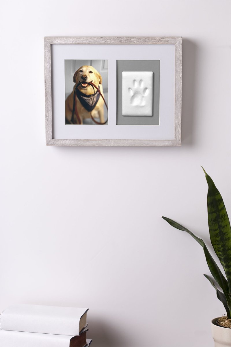 Pearhead Pawprints Wall Picture Frame， 4 x 6-in