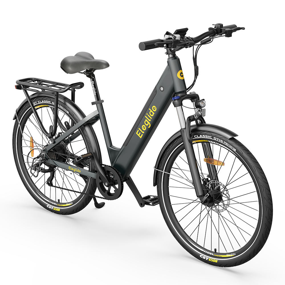 Chinese Manufacturer Trekking E Bike Step Through E Bike E Cycle Electric Bike