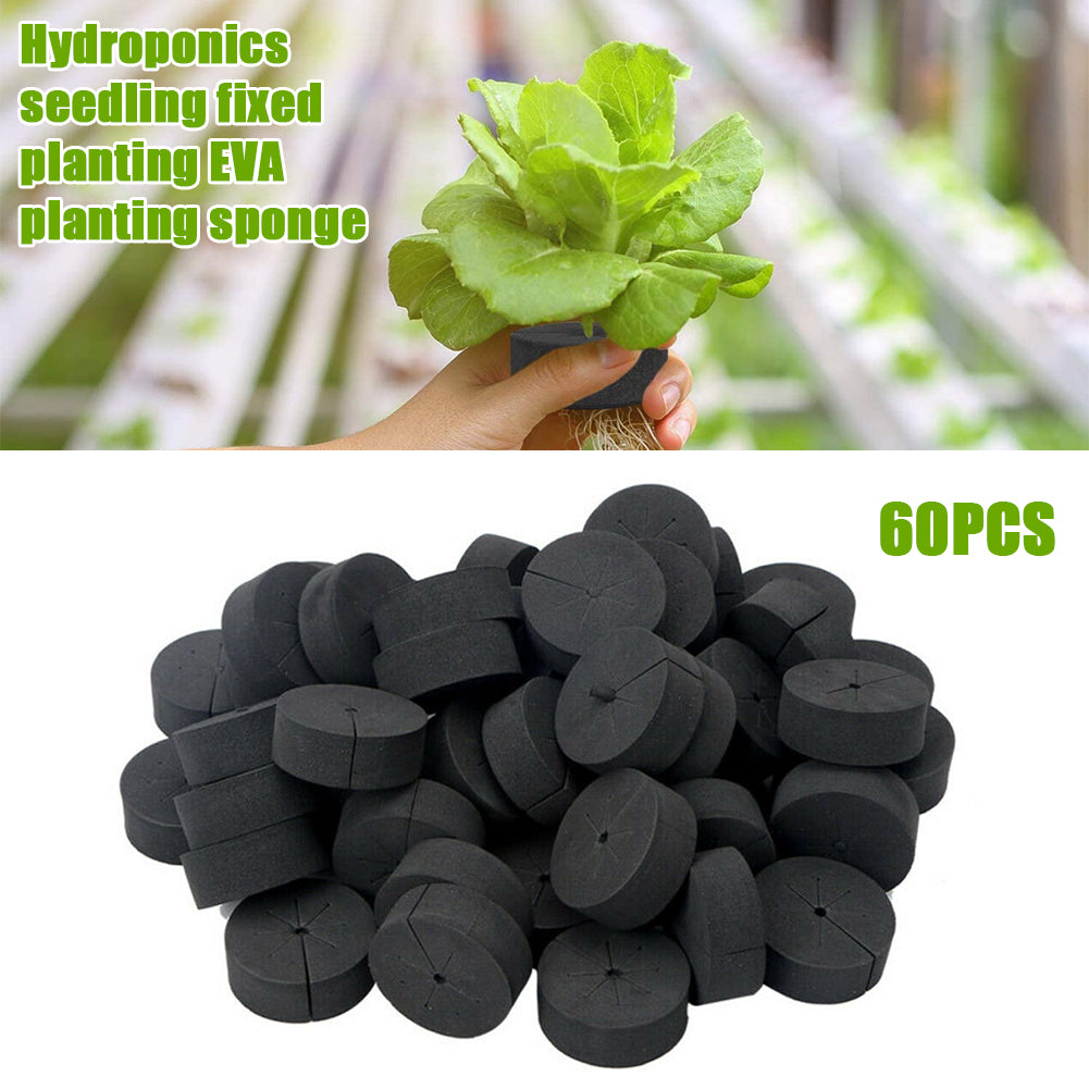 ASCZOV 60pcs/pack Plants Growth Vegetables Hydroponic System Balcony EVA Cloning Collar