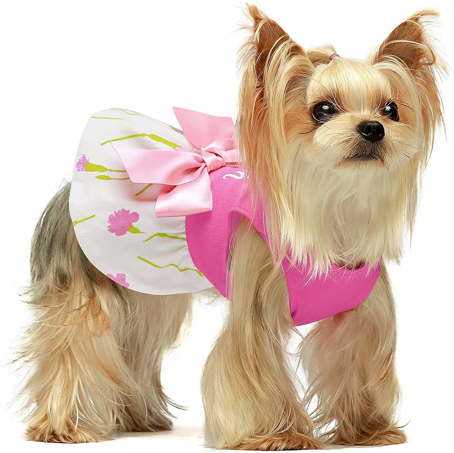 Fitwarm Holiday Theme Dog Dresses for Birthday Mother's Day Valentines Day St Patricks Day Easter Day Haloween Dog Clothes Holiday Festival Dog Dresses Puppy Party Costumes XXS