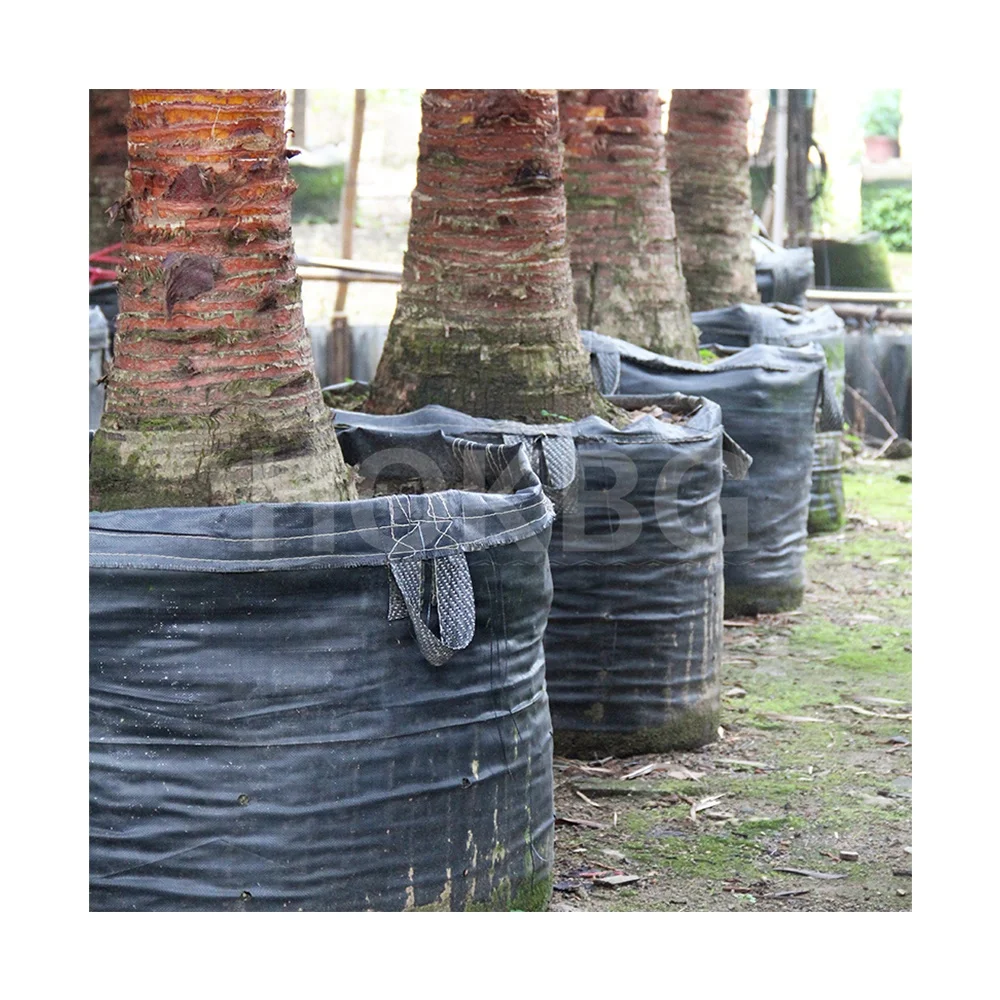 HOKBG  500 Litre Customized  grow planter pot woven geo pot  woven geotextile planting grow bags 3 gallon fabric grow pots