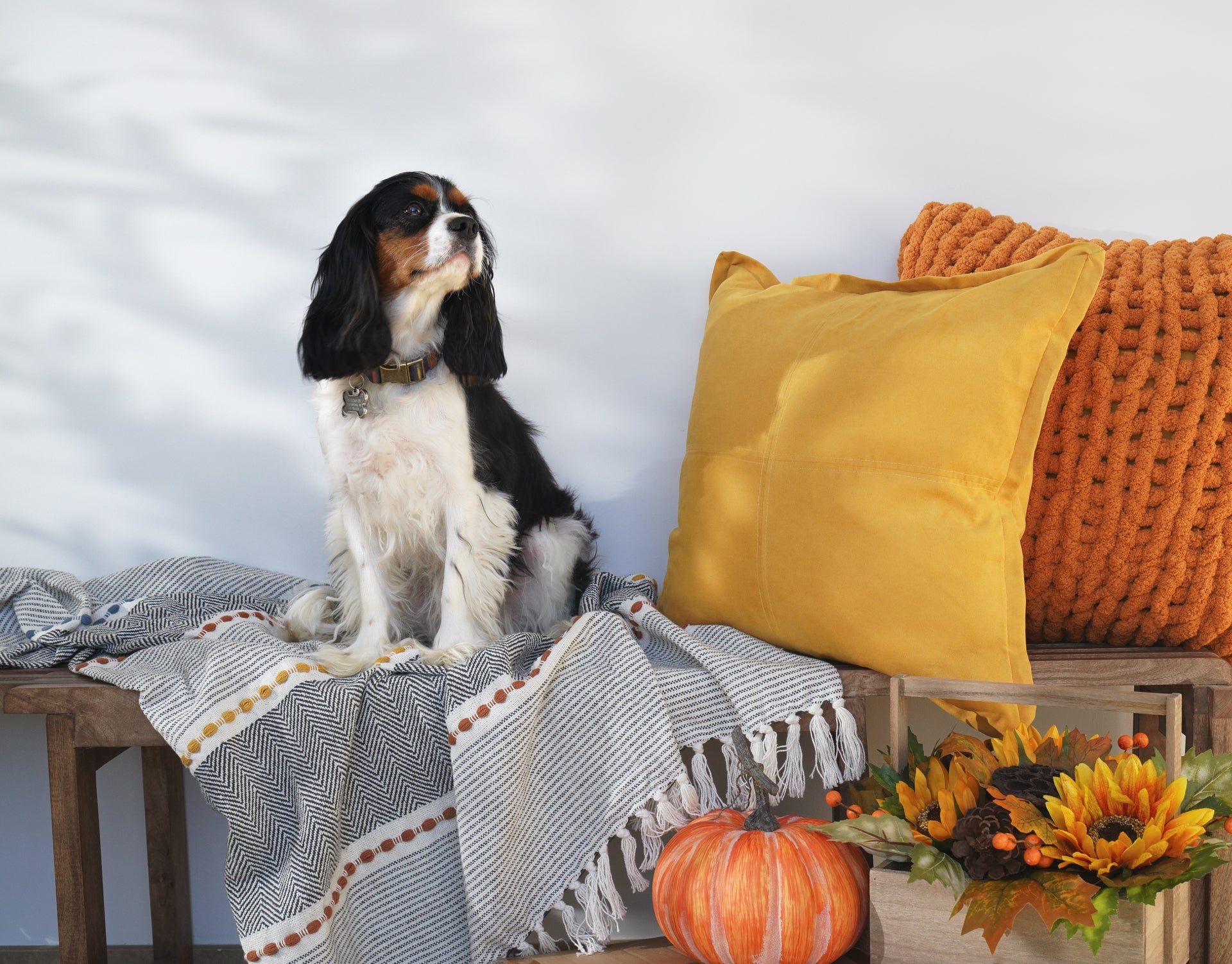 Pillow Bundle: Autumn Colors