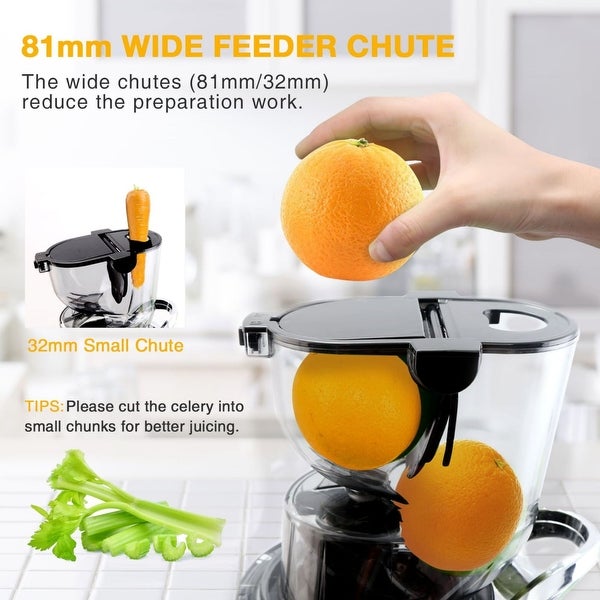 3.2-inch Chute， Cold Press Masticating juicer