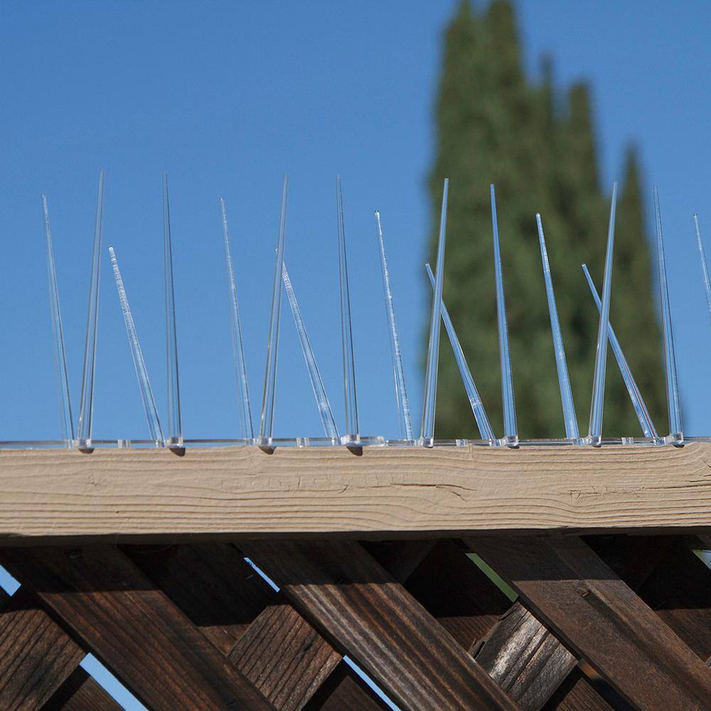 Bird B Gone Enviro Spike 10 ft. x 5 in. Plastic Bird Spikes 100521839