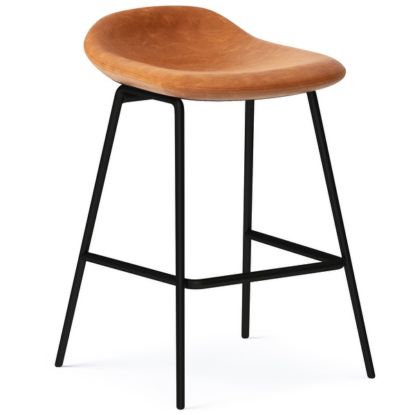 WyndenHall Kempton Contemporary Counter Height Stool (Set of 2) - 17.9