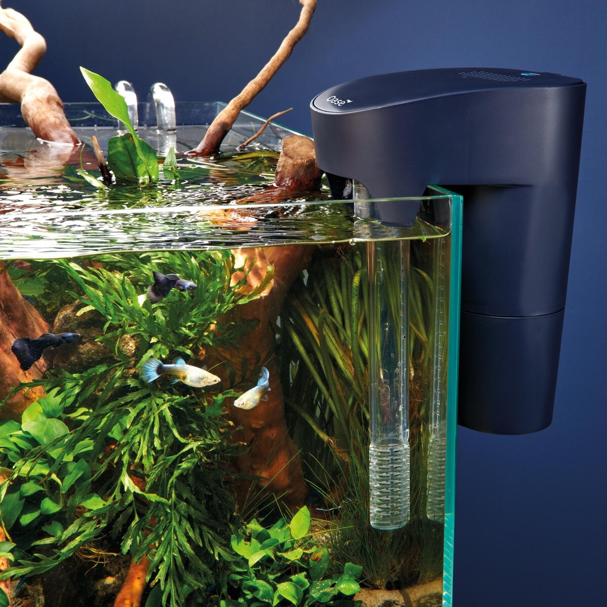 OASE Indoor Aquatics Biostyle 20 Fish Filter， Dark Blue