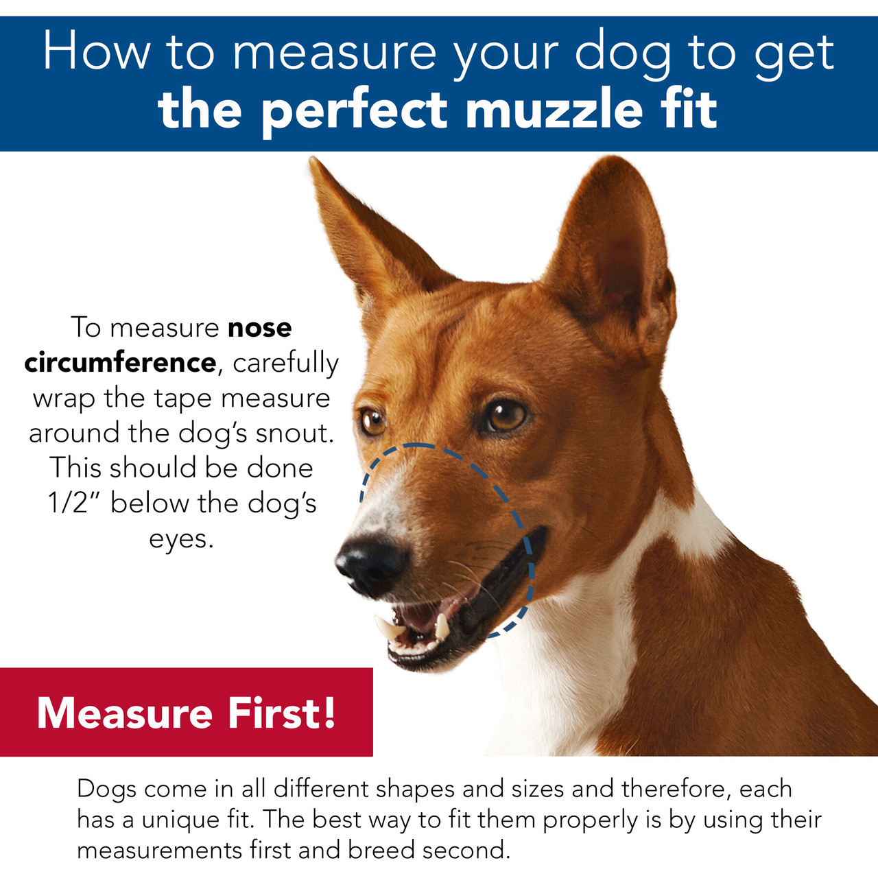 Adjustable Comfort Muzzle for Dogs， Large 16-24