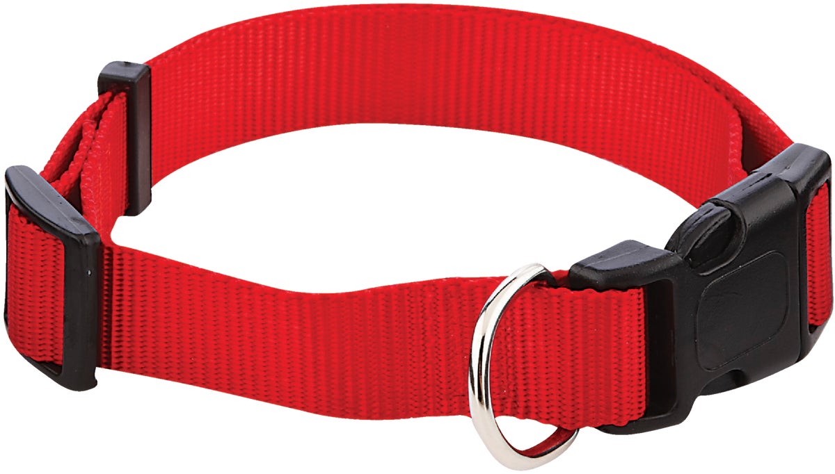 Westminster Pet Ruffinand#039 it Adjustable Nylon Dog Collar Black Red Blue