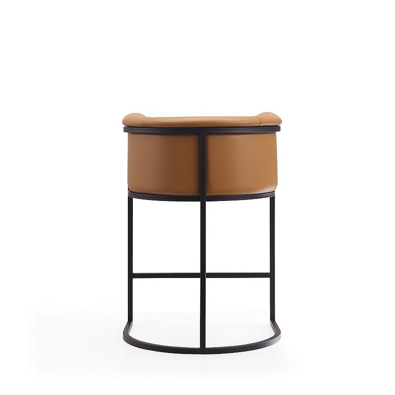 MANHATTAN COMFORT Cosmopolitan Counter Stool 2-piece Set