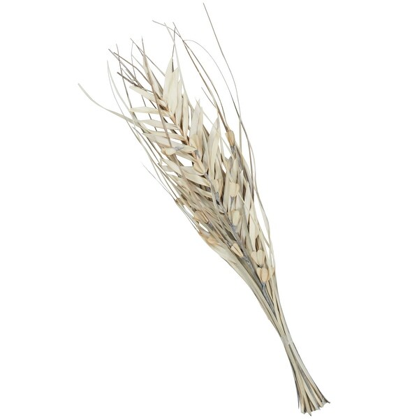 Beige or Light Brown Dried Plant Handmade Tall Floral Grass Bouquet Palm Leaf Natural Foliage