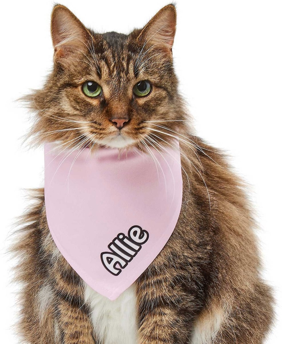 Frisco Solid Pastel Personalized Dog and Cat Bandana