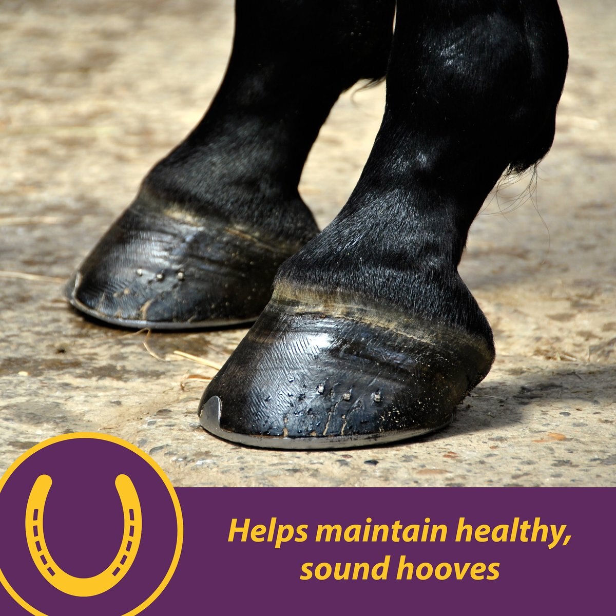 Horse Health Products Vita Biotin Crumbles， Supports Proper Hoof Health in Horses 20 -lbs.， 640 Day Supply