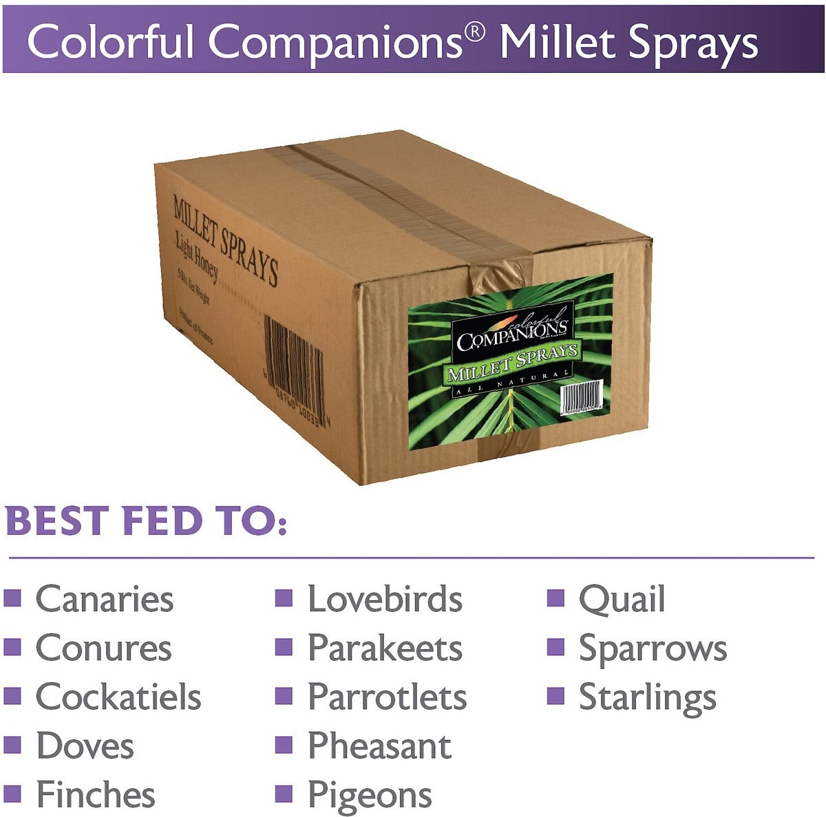 Colorful Companions Millet Sprays Bird Food， 25-lb box