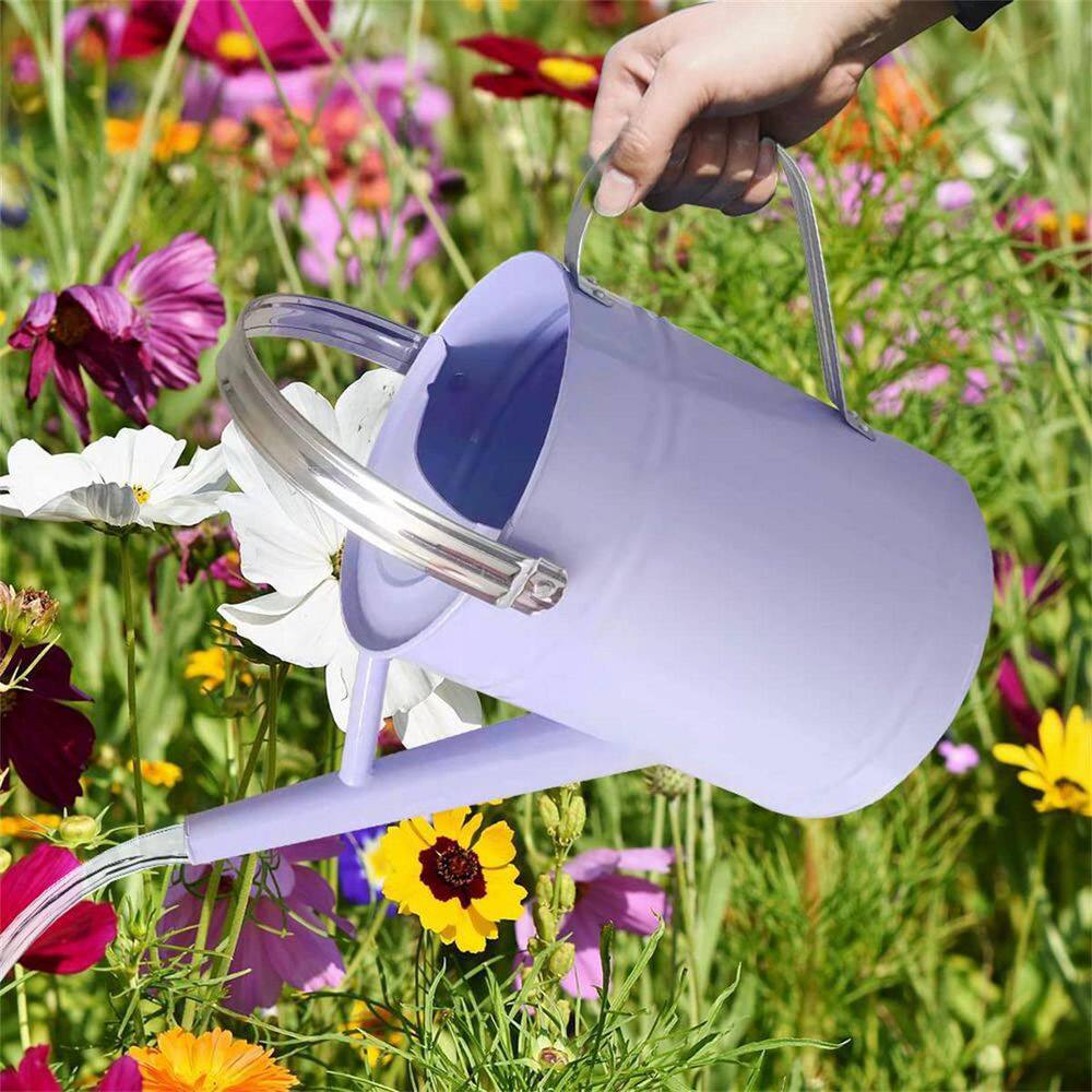 Dyiom 1 Gal. Purple Metal Watering Can B0B4JQ8GDS