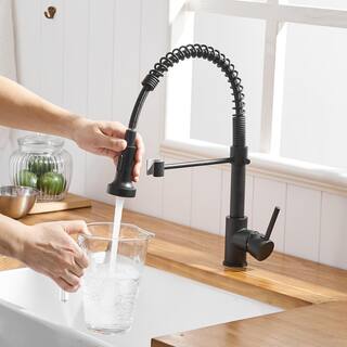 Boyel Living Stainless Steel Faucet Single-Handle Faucet Pull-Down Sprayer Kitchen Faucet Black BM289B-45