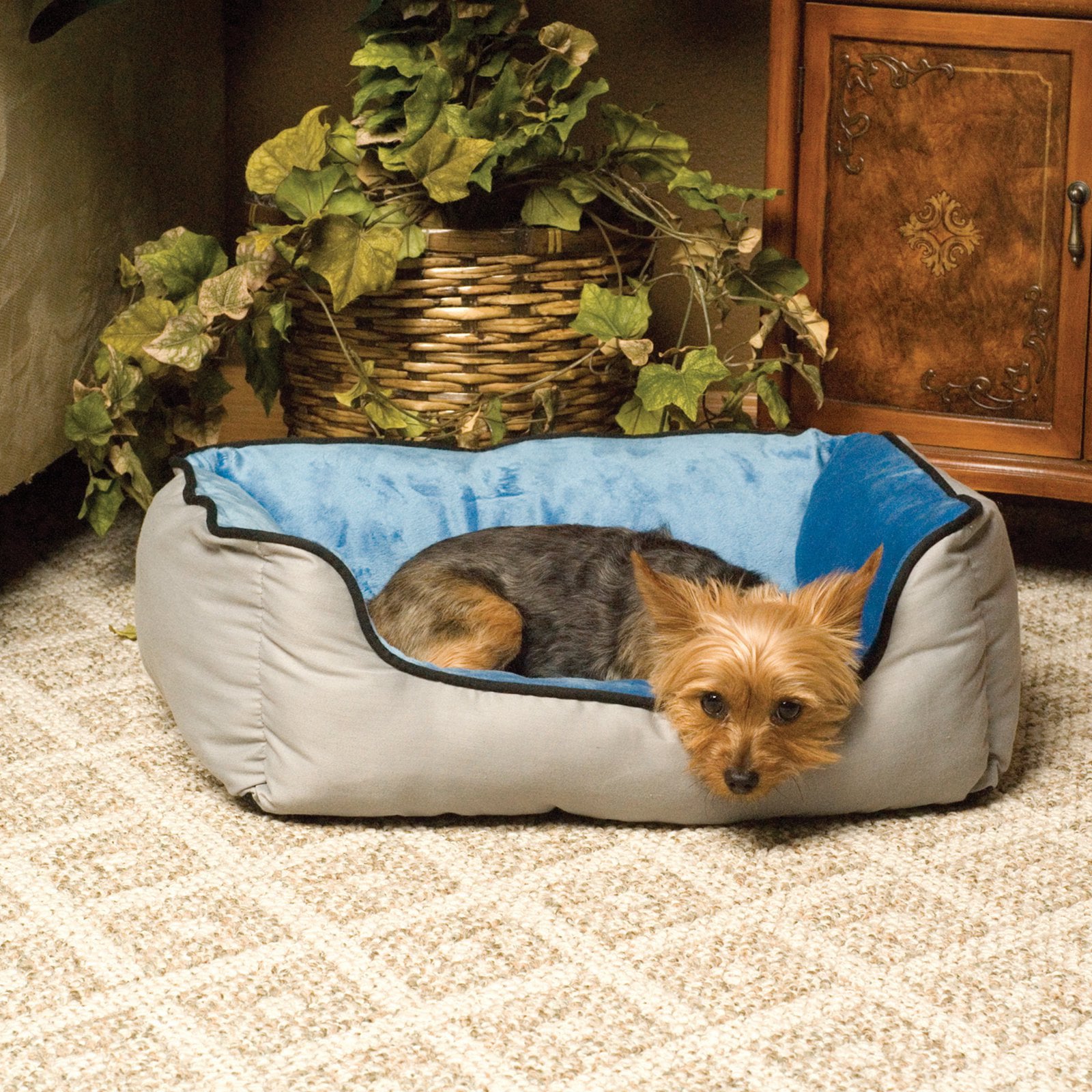 KandH Lounge Sleeper Pet Cat Bed， Mocha/Green