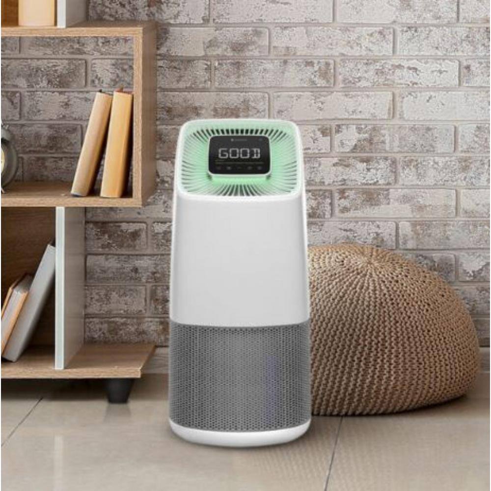 GreenTech Environmental 1375 sq. ft. HEPA - True Filter Whole House Air Purifier in White with ODOGard 1X5826