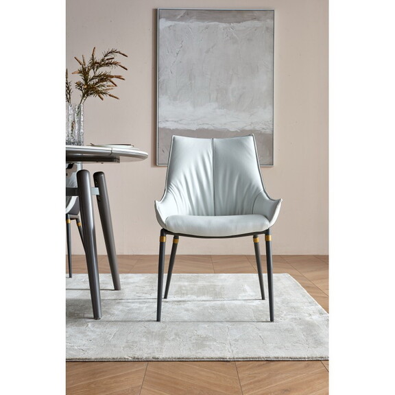 Dining Chairs Set of 2  Modern Dining Table Chairs...