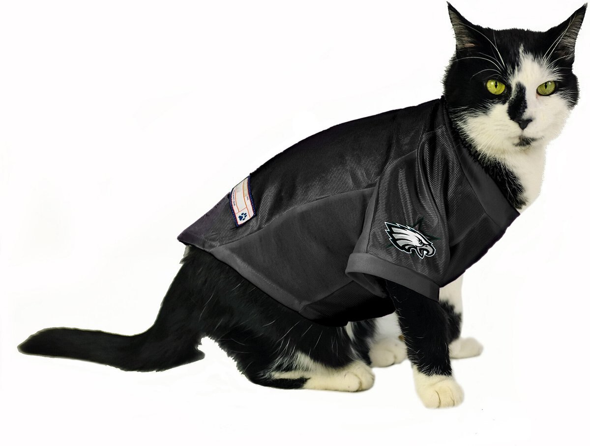 Littlearth NFL Stretch Dog and Cat Jersey， Philadelphia Eagles