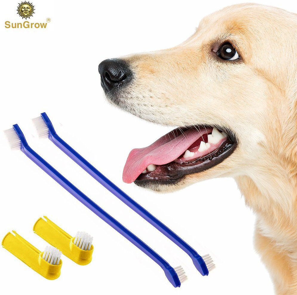 SunGrow Dental Cleaning Tool Kit Dog and Small Animal Toothbrush， 4 Count