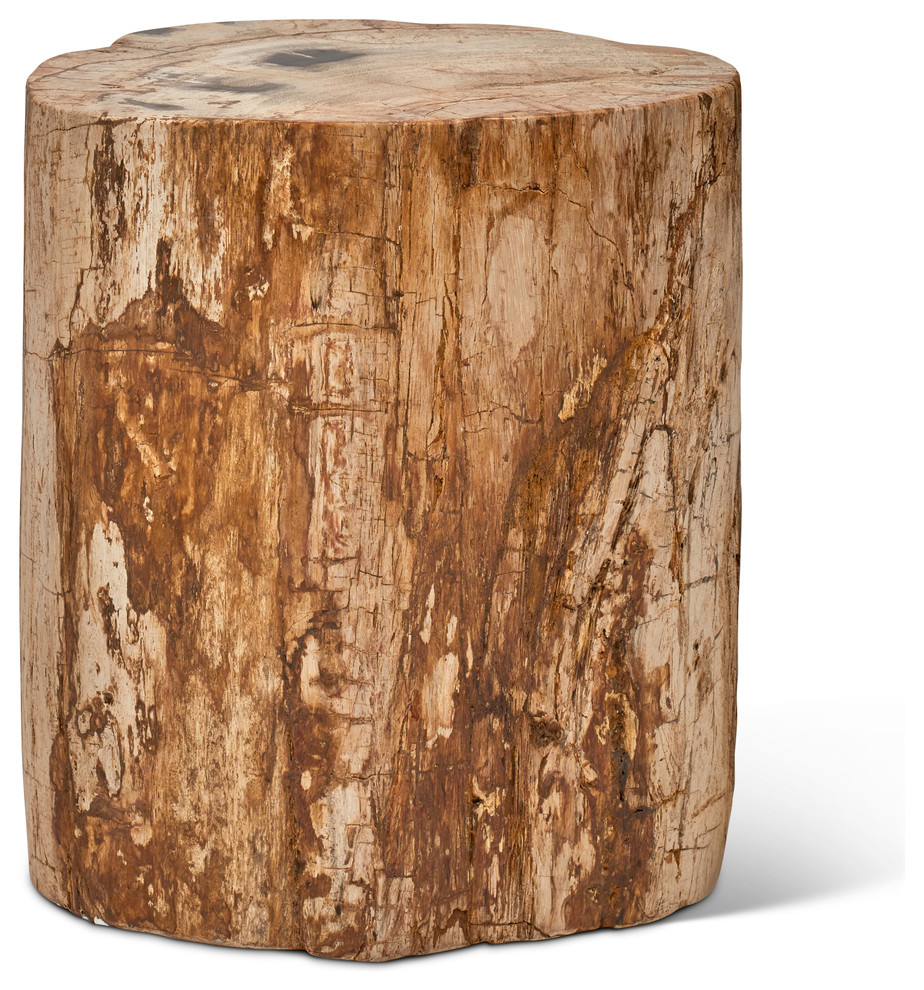 Relique Petrified Wood Stump  Fully Polished  Natural Dark   Rustic   Side Tables And End Tables   by Urbia  Houzz