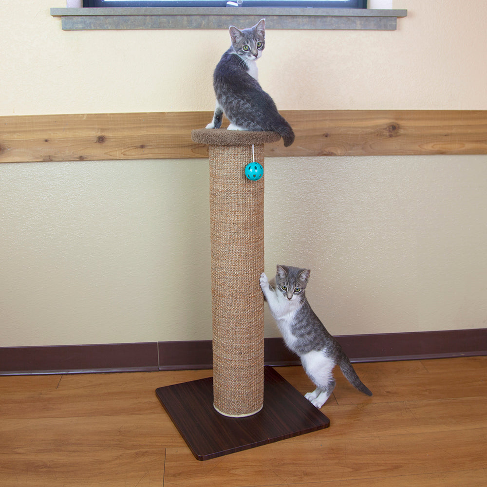 Kitty City Premium Woven Sisal Scratching Post Perch