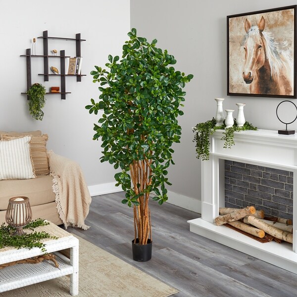 6foot Black Olive Silk Tree