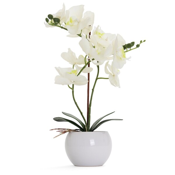 White Artificial Orchid