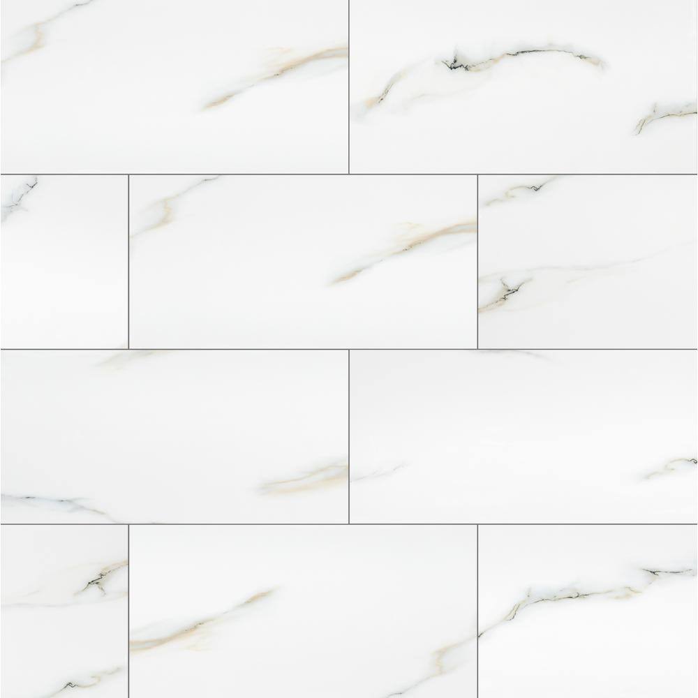 MSI Aria Bianco 12 in. x 24 in. Polished Porcelain Floor and Wall Tile (16 sq. ft.  case) NARIBIA1224P