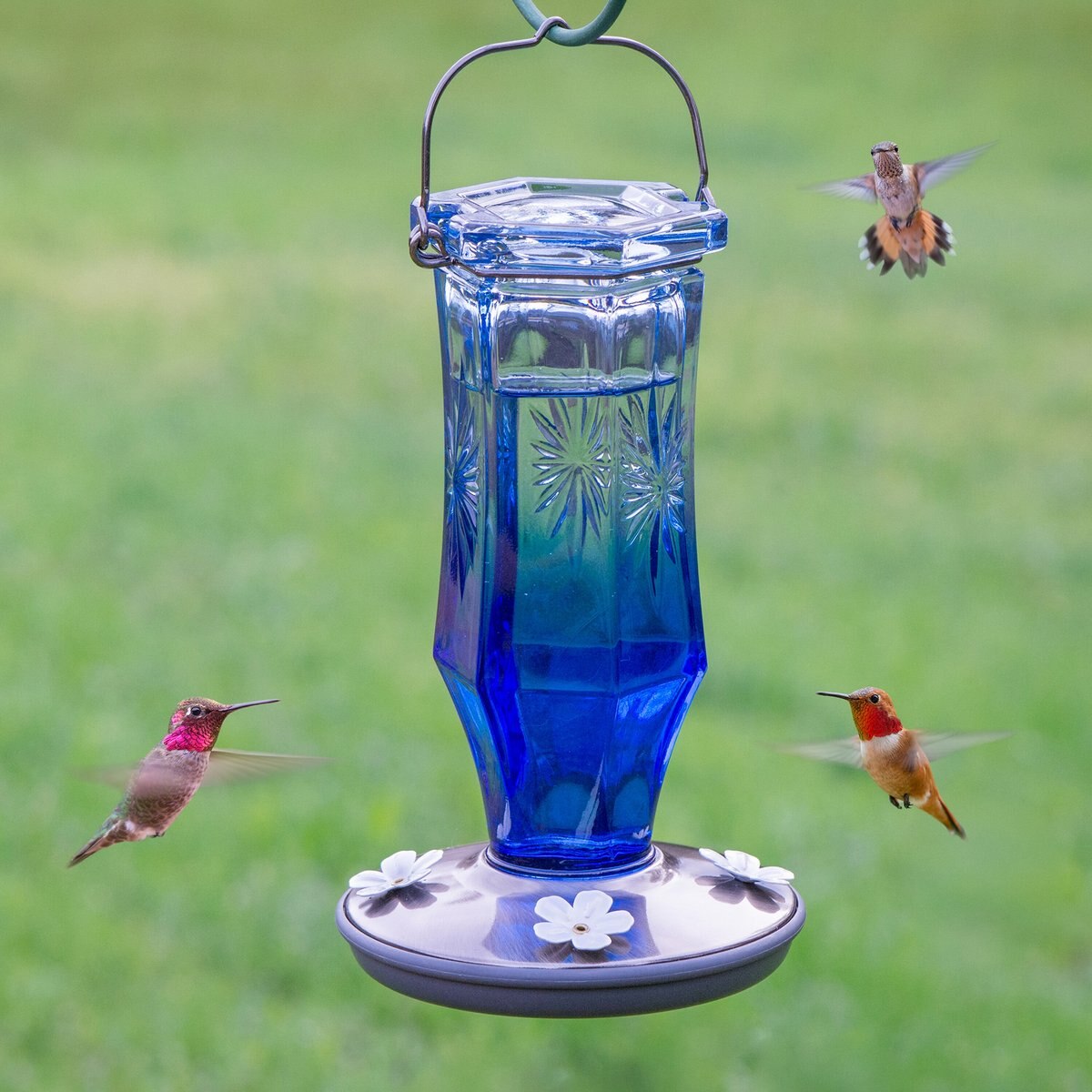 Perky-Pet Sapphire Starburst Vintage Hummingbird Feeder