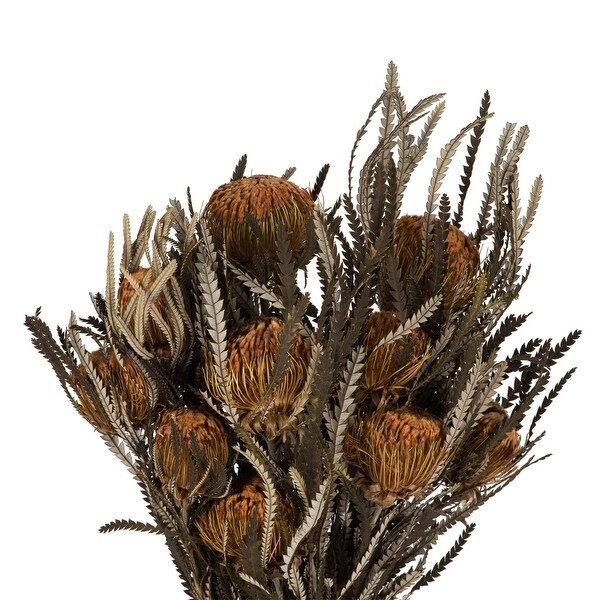 Vickerman 12 Autumn Banksia Foliage and FlowersPreserved，4 oz Bundle