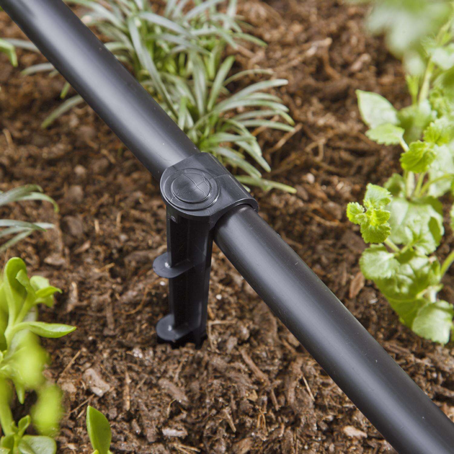 Raindrip Drip Irrigation Tubing Stake 6 in. H 1 pk