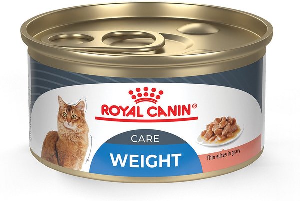 Royal Canin Feline Care Nutrition Weight Care Adult Thin Slices in Gravy Canned Cat Food， 3-oz， case of 24