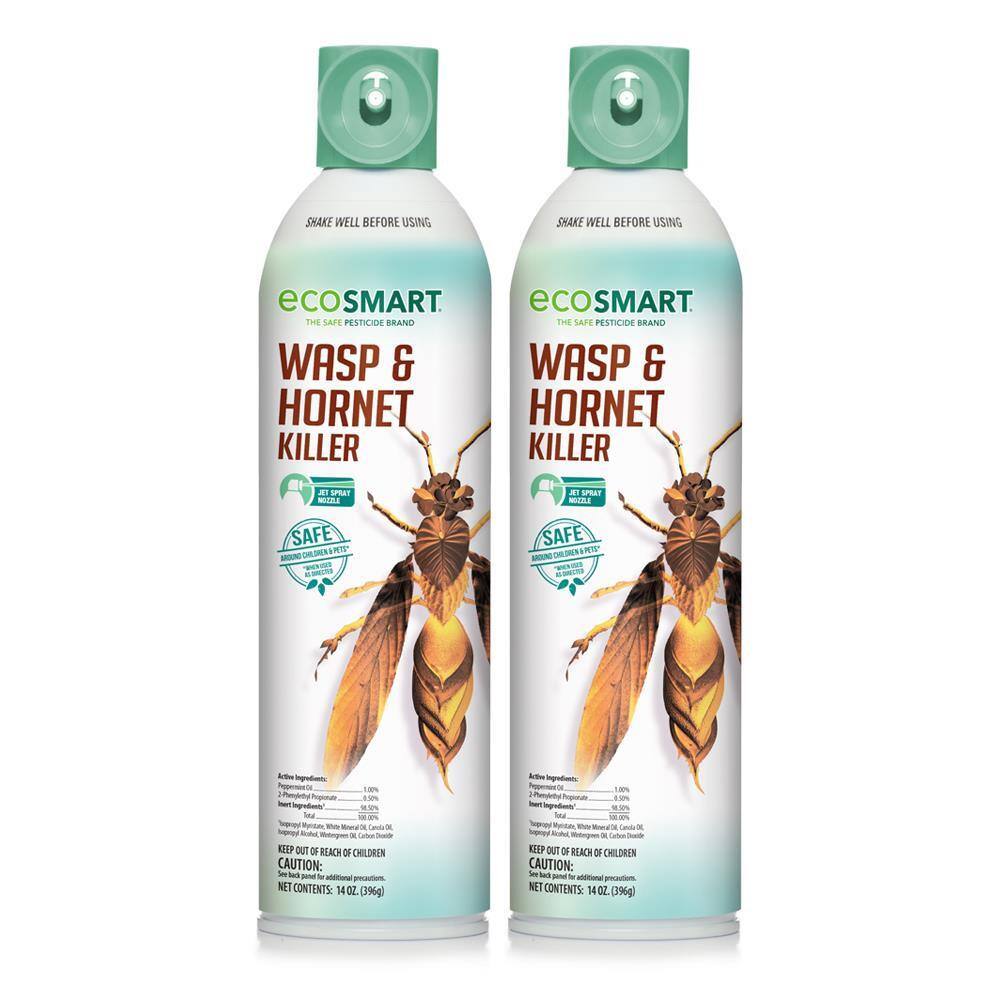 EcoSmart 14 oz. Natural Wasp and Hornet Killer with Plant-Based Essential Oils Aerosol Spray Can (2-Pack) ECSM-33529-01EC