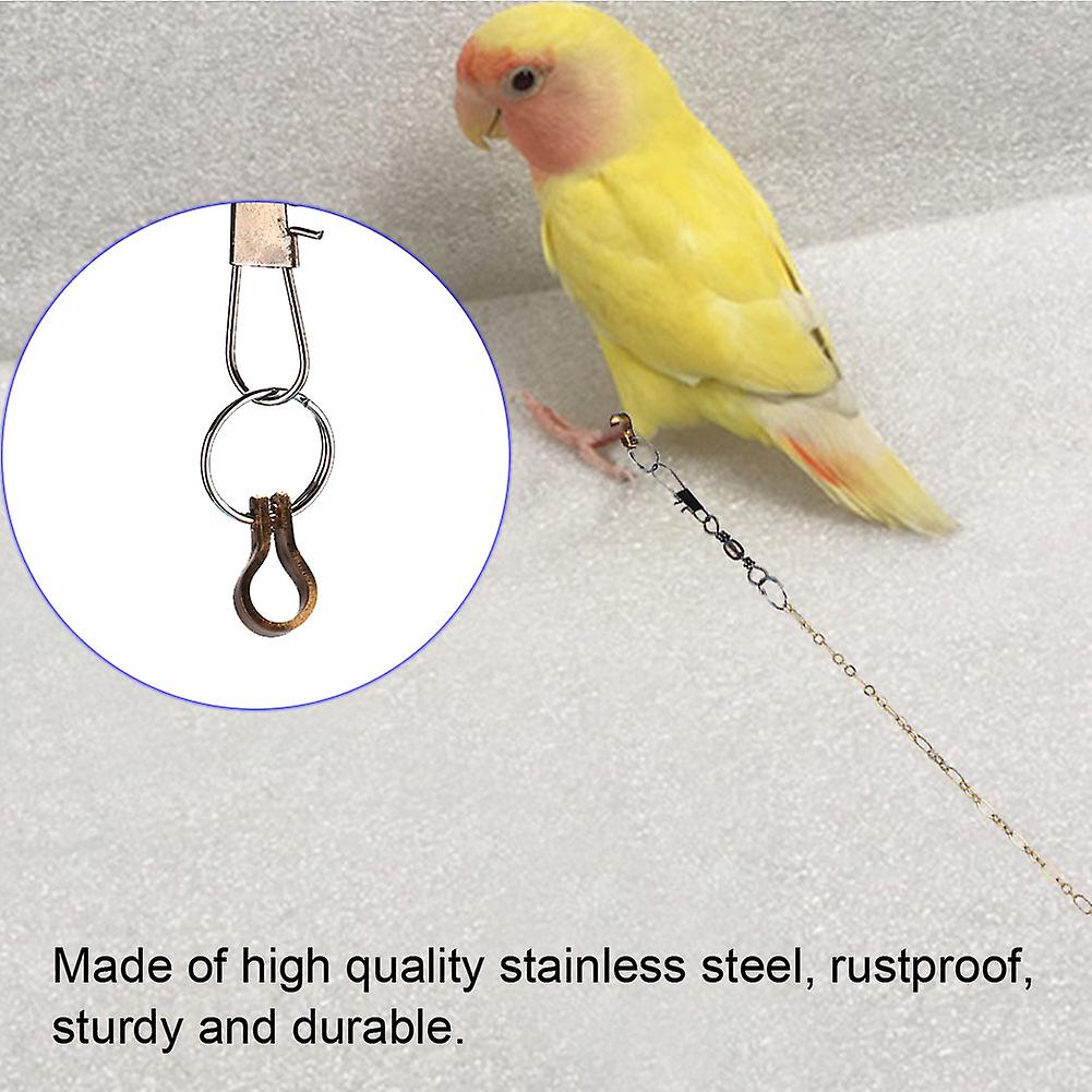 Stainless Steel Pet Birds Parrot Foot Chain Anklet Training Harness (agapornis)