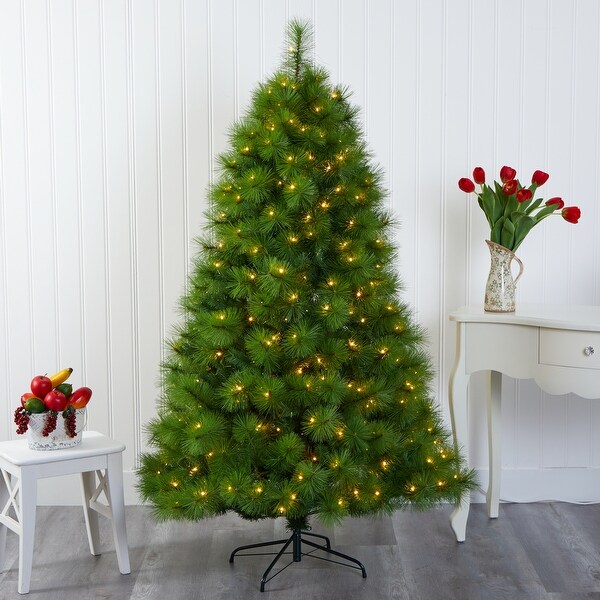 6.5' Green Scotch Pine Christmas Tree with 350 Clear LED Lights