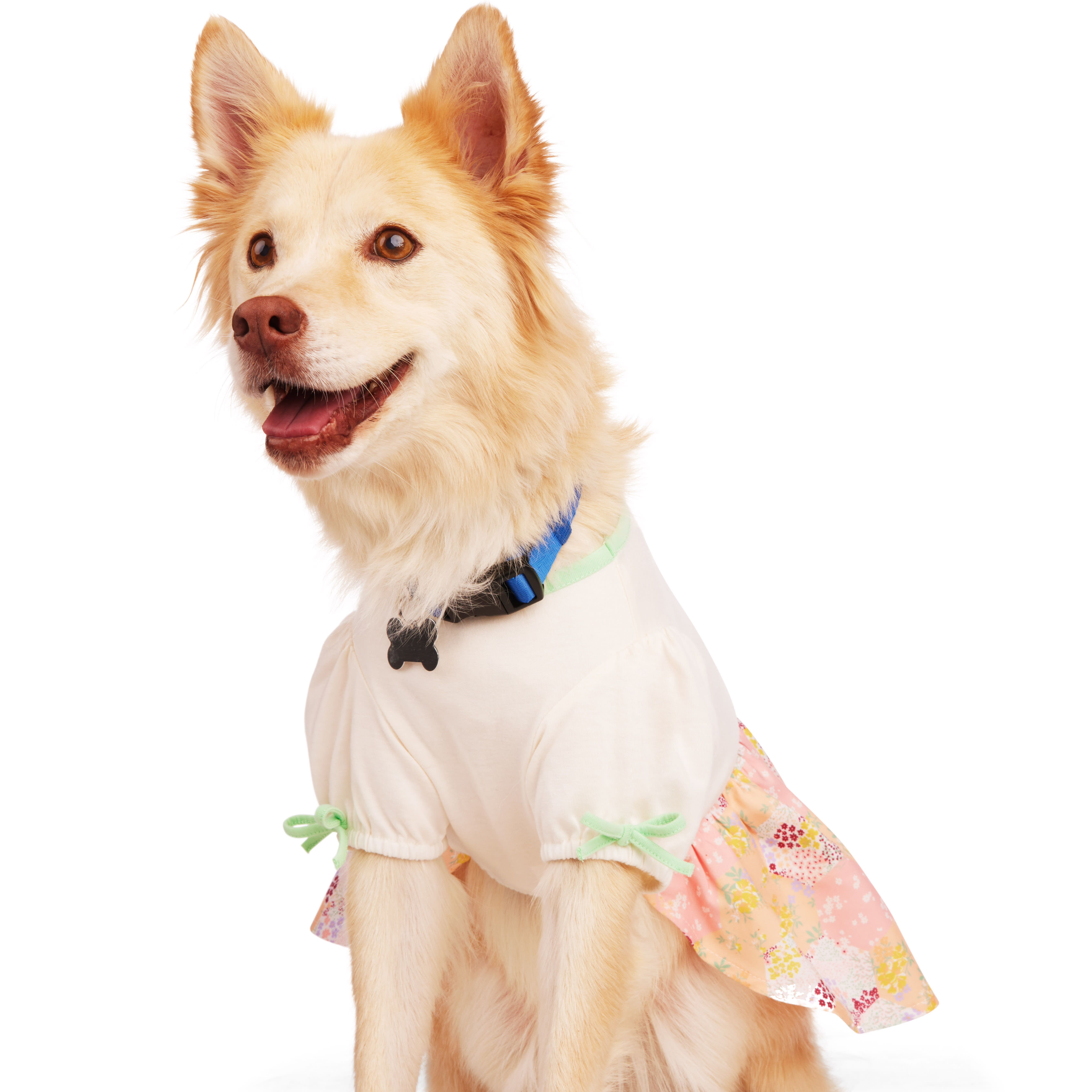 YOULY Floral Tee Dress for Dogs， XX-Small