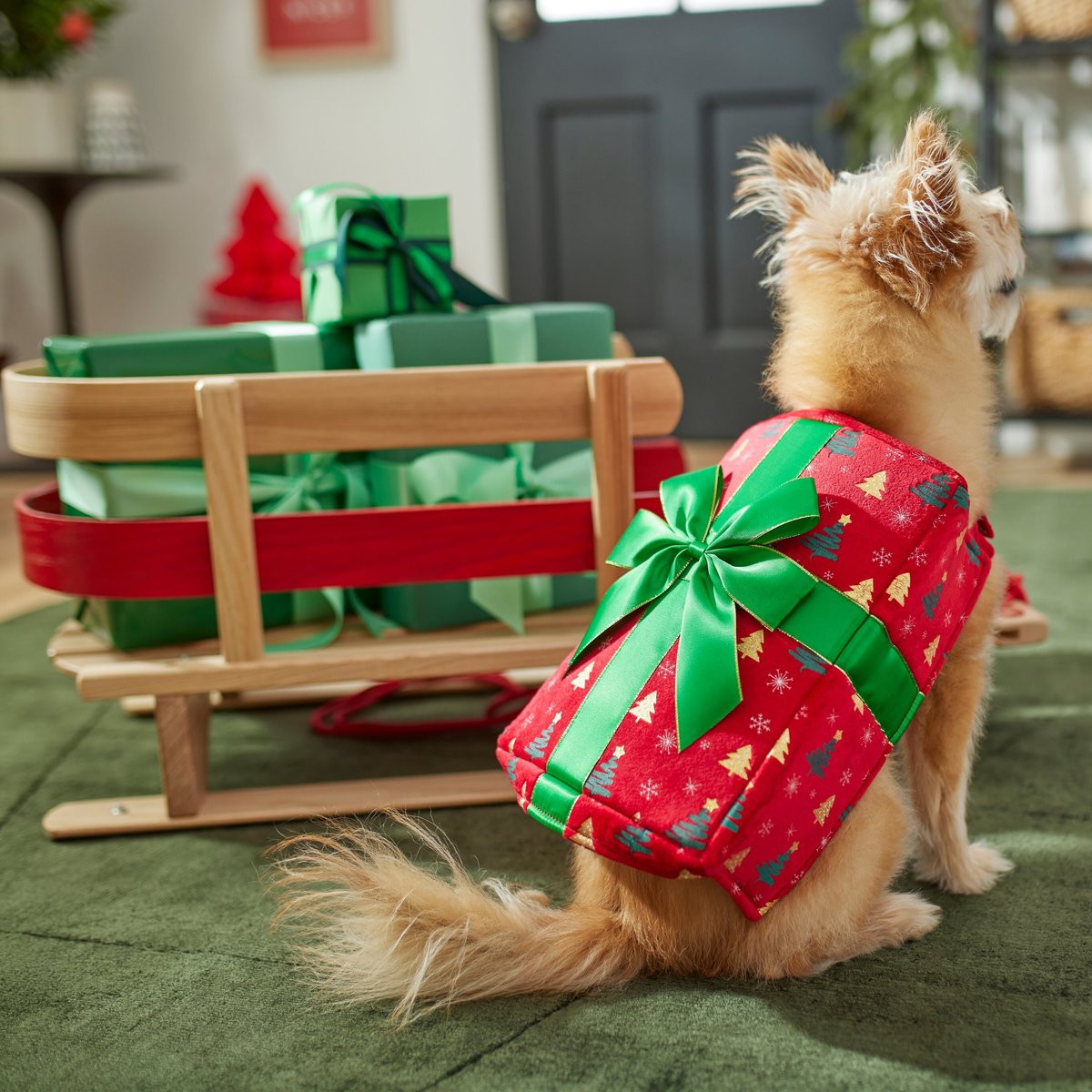 Frisco Holiday Giftbox Dog and Cat Costume