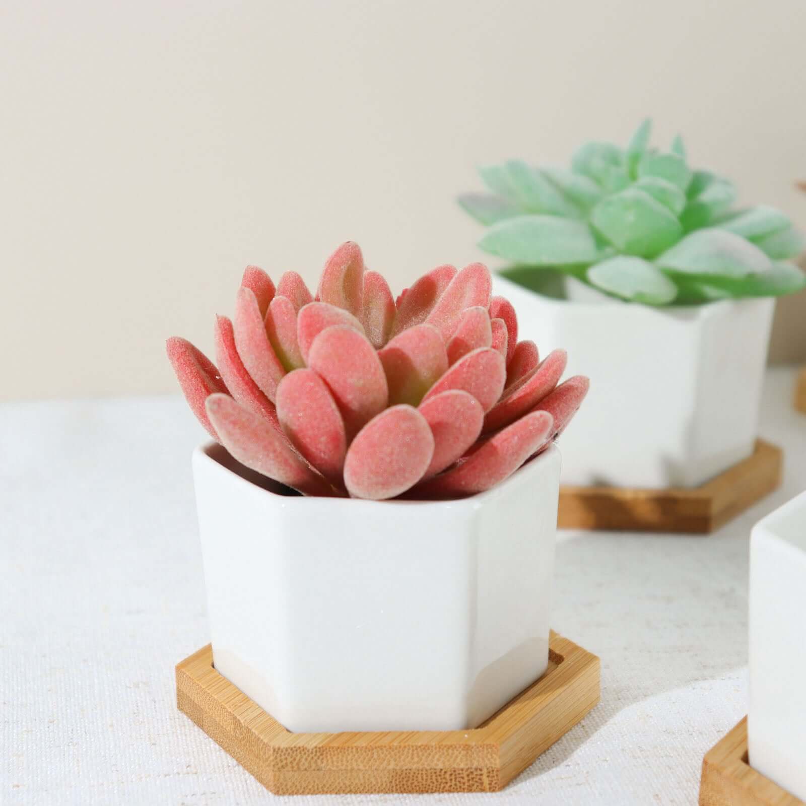 6 Pack White Geometric Hexagon Ceramic Planter Pots, Bamboo Tray Base w/ Drainage Hole, Cactus and Succulent Planters With Removable Bottom 3