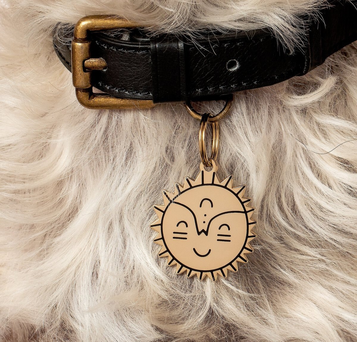 Two Tails Pet Company Personalized Smiling Sun Dog and Cat ID Tag