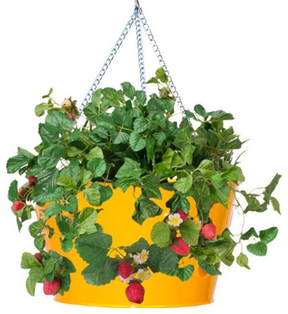 Houston International Trading 8495E SAFF Enameled Galvanized Hanging Strawberry   Farmhouse   Outdoor Pots And Planters   by UnbeatableSale Inc.  Houzz