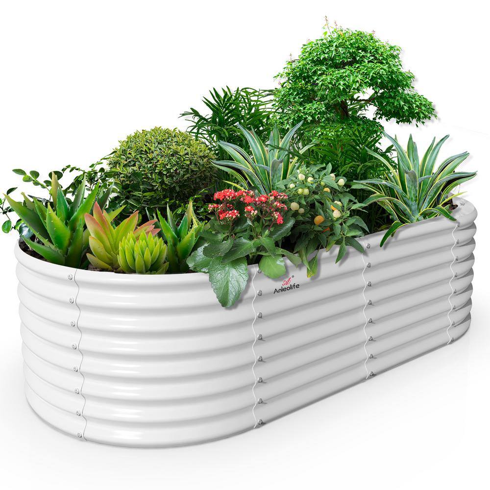 Cesicia 8 ft. L x 4 ft. W x 2 ft. H Outdoor White Galvanized Raised Steel Garden Bed Oval Above Ground Modular Planter Boxes ANG004bedwy