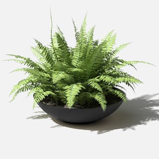 Veradek Lane Bowl 24 in. Black Plastic Round Planter LBV24B