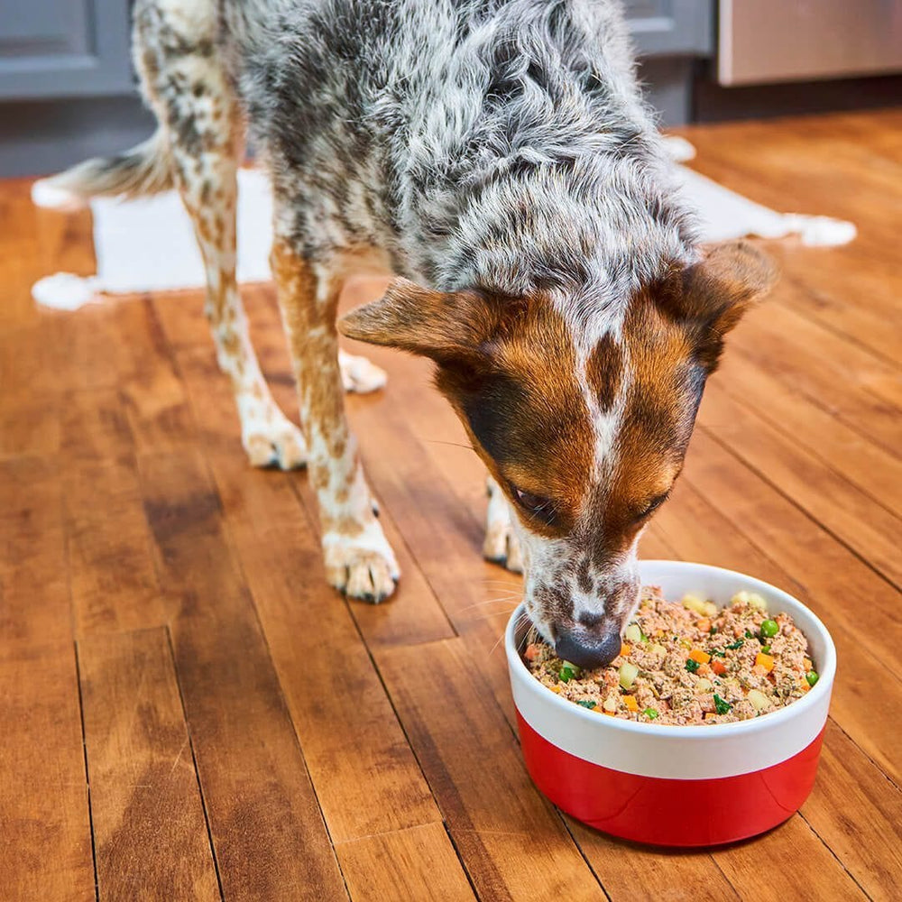 Stella and Chewy's FreshMade Beefy-Licious Gently Cooked Dog Food