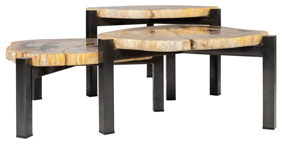 Petrified Wood Nested Coffee Tables  3  Versmissen   Contemporary   Coffee Table Sets   by Oroa   Distinctive Furniture  Houzz