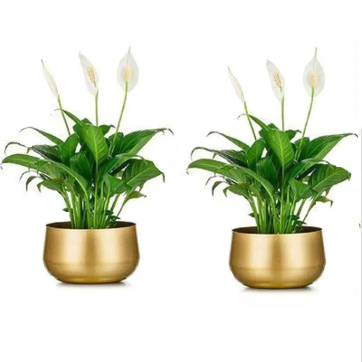 Sustainable Quality Decorative  Handmade Gold Metal Planters for Garden Home Plant Flower  Luxury Floor Planter